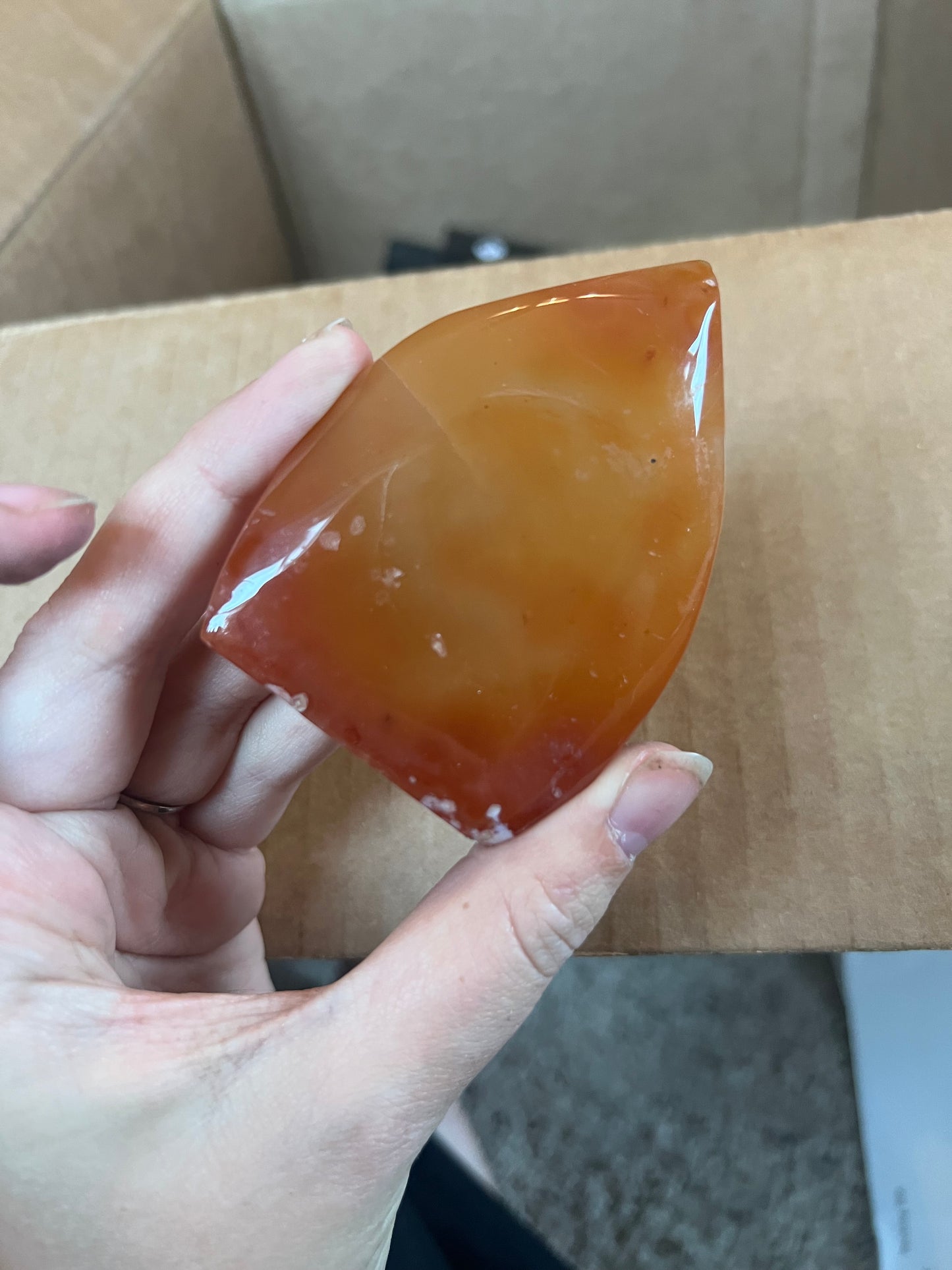 Carnelian Teardrop Freeform