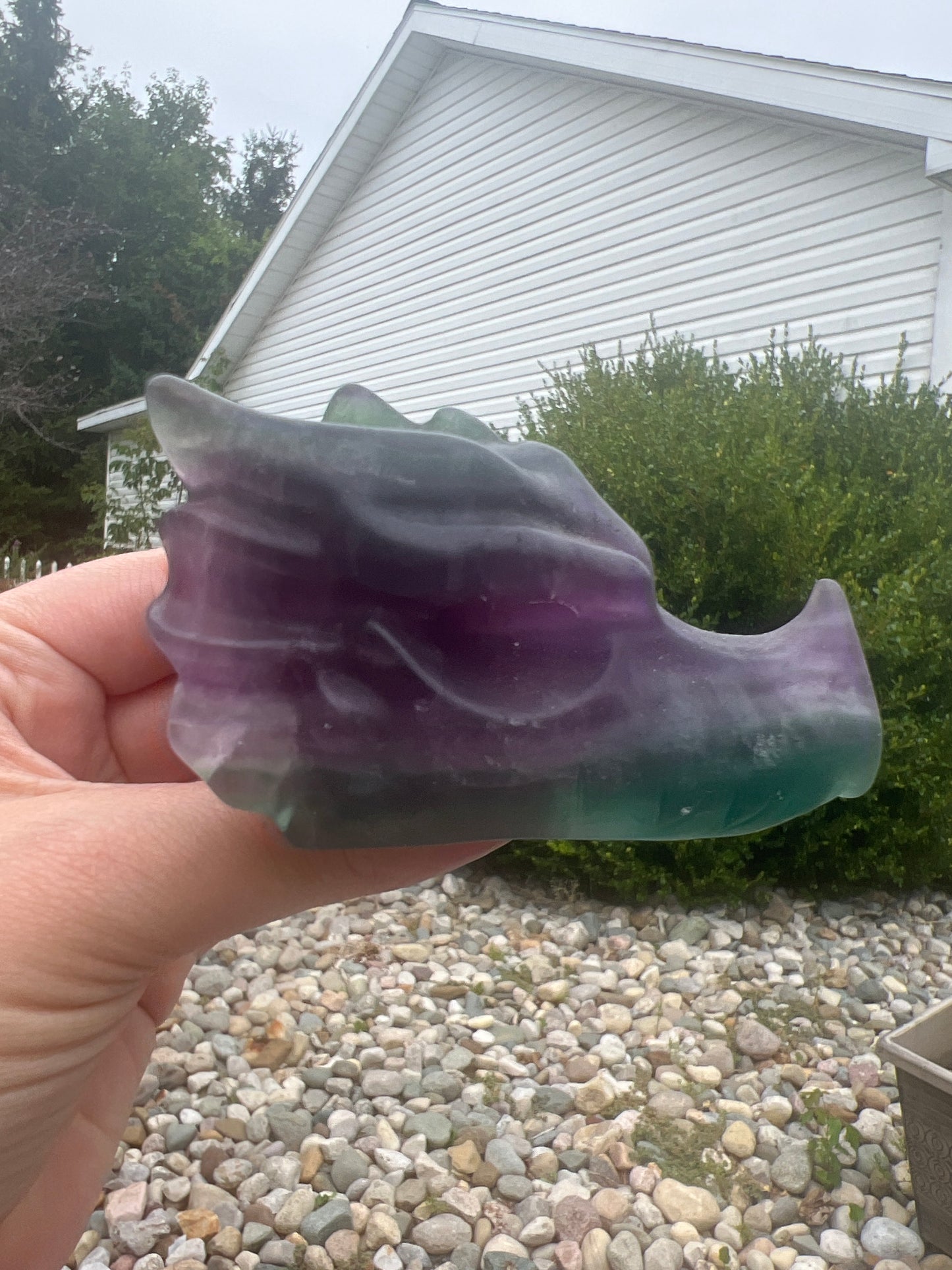 Fluorite Dragon Skull