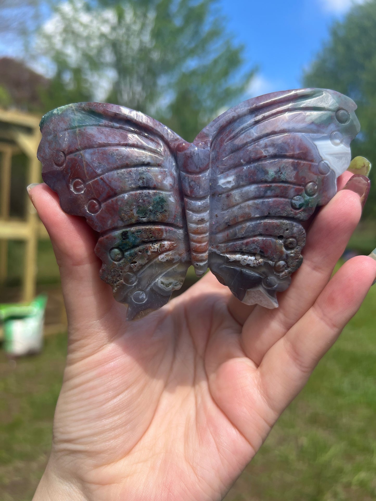 Ocean Jasper Butterfly