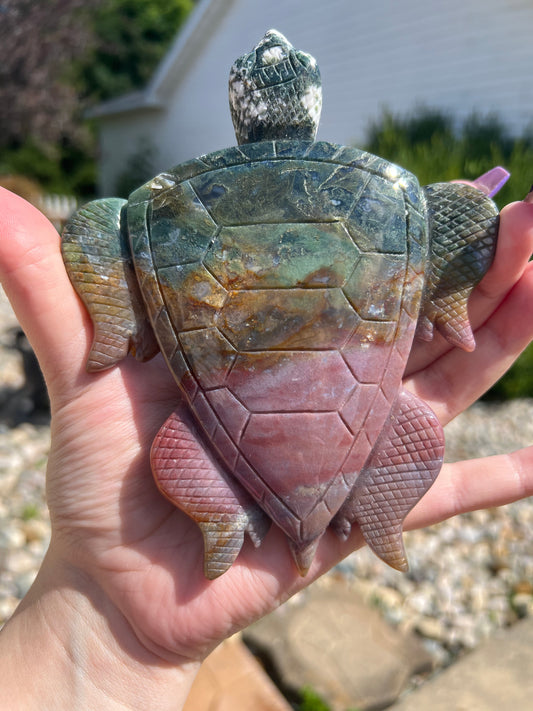 Ocean Jasper Sea Turtle