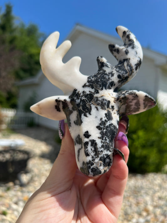 Zebra Jasper Deer