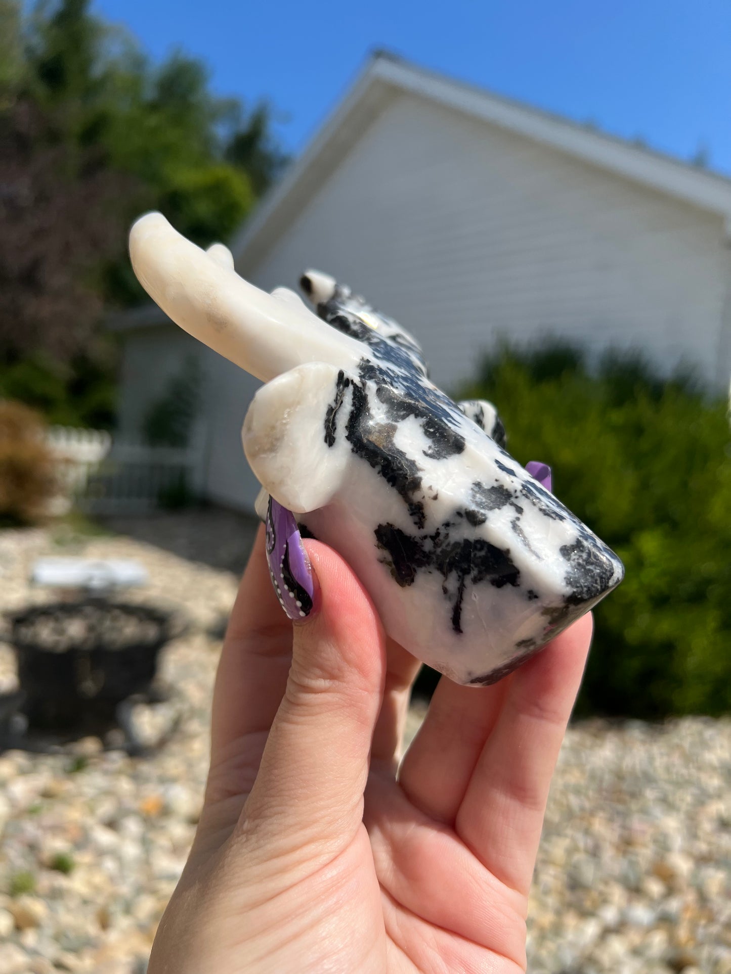 Zebra Jasper Deer