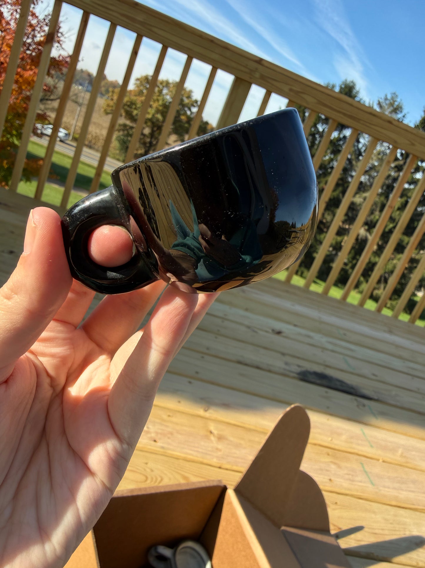 Black Obsidian Teacup