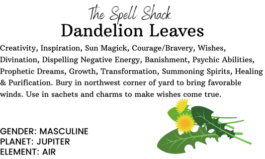 Dandelion Leaves