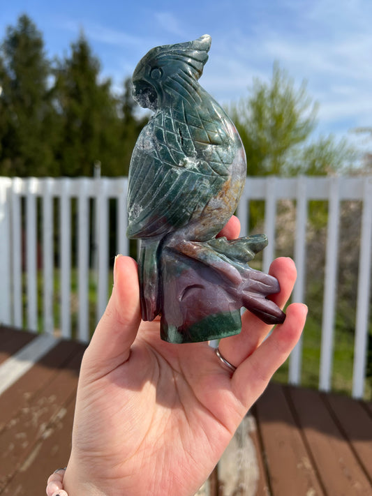 Ocean Jasper Bird