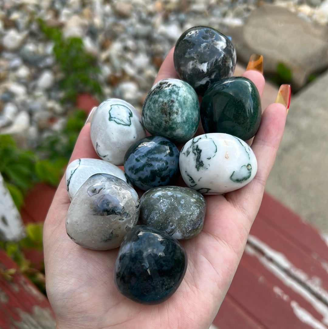 Large Moss Agate Tumble